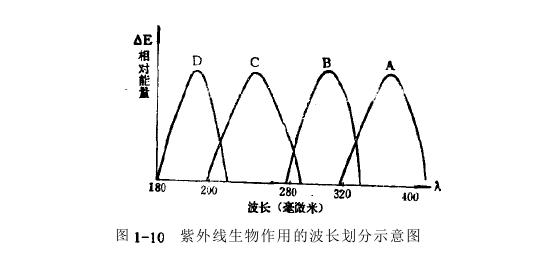 紫外線致黑斑效應